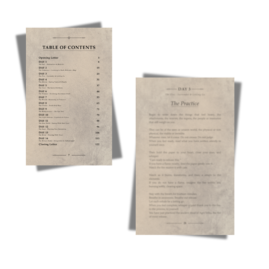 The 14 Day Journey - The Bridge Between Worlds Ebook